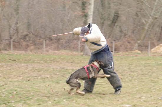 Entrainement APBAT 01/2011