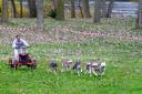 Cani-activités : Cani-Cross- Cani-VTT- Rapid-cani
