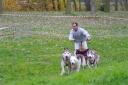 Cani-activités : Cani-Cross- Cani-VTT- Rapid-cani