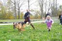 Cani-activités : Cani-Cross- Cani-VTT- Rapid-cani