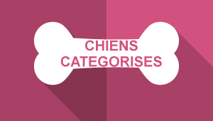 Chienscategorises
