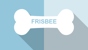 Frisbee 2