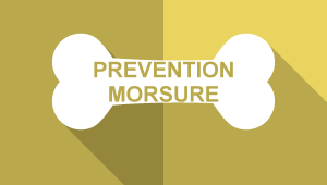 Preventionmorsure 2