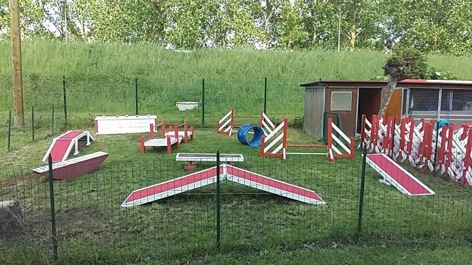 Terrain chiot