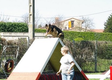 entrainement agility