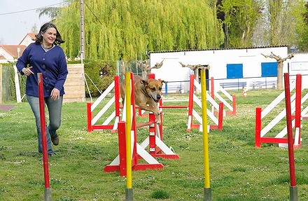 entrainement agility