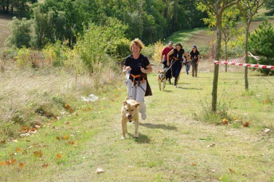 trail cassoulet 2008 à verfeil