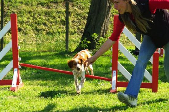 Cours d'Agility du 3 Mai 2009