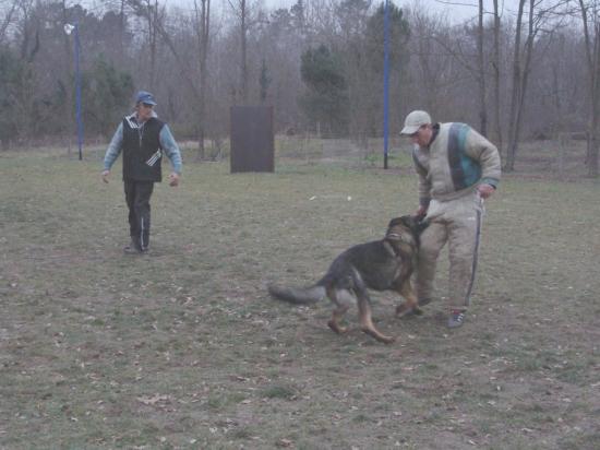 Entrainement APBAT 01/2011