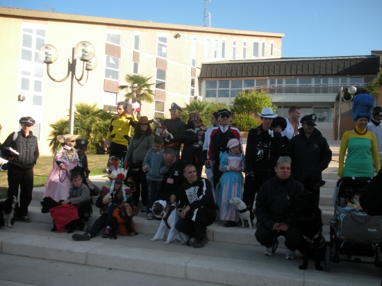 Tout Blagnac court 2009