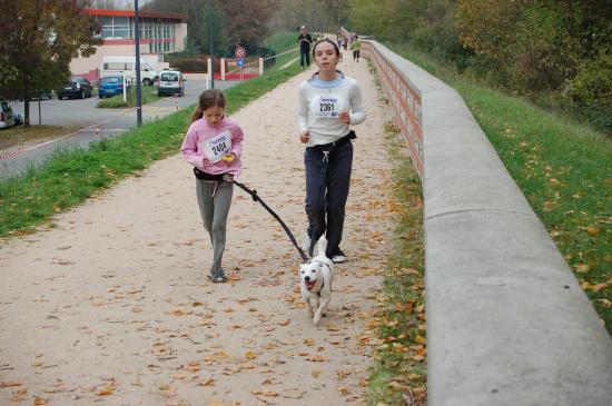 1e cani-cross du département