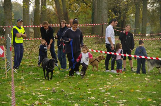 1e cani-cross du département