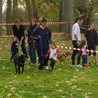 Cani-marche/cross/vtt