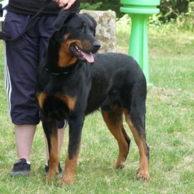 Nationale élevage 2010