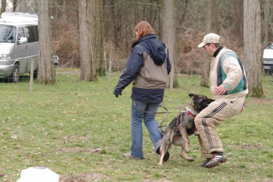 Entrainement APBAT 01/2011