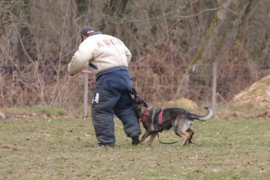 Entrainement APBAT 01/2011