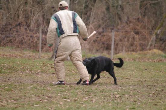 Entrainement APBAT 01/2011