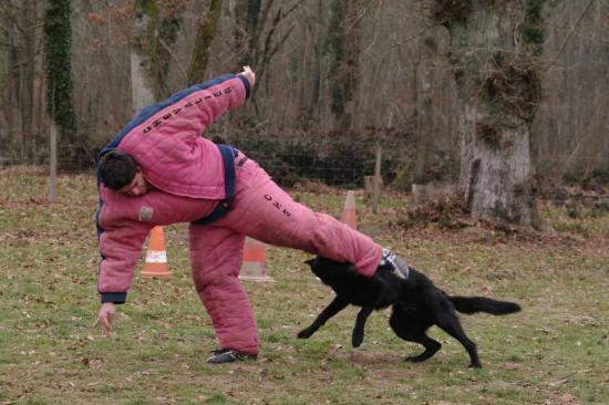 Entrainement APBAT 01/2011