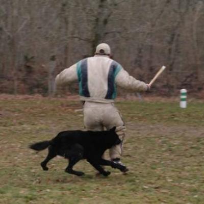 Entrainement APBAT 01/2011