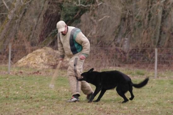 Entrainement APBAT 01/2011