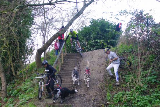 Cani-activités : Cani-Cross- Cani-VTT- Rapid-cani