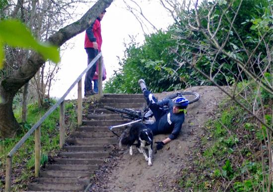 Cani-activités : Cani-Cross- Cani-VTT- Rapid-cani