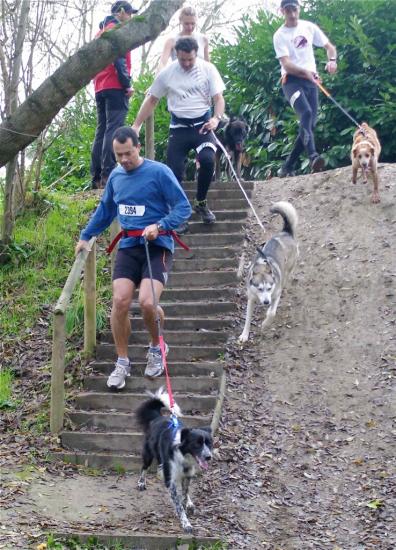 Cani-activités : Cani-Cross- Cani-VTT- Rapid-cani