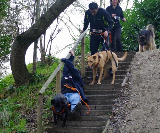 Cani-activités : Cani-Cross- Cani-VTT- Rapid-cani