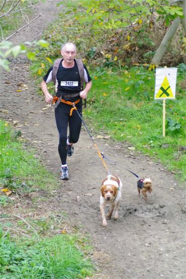 Cani-activités : Cani-Cross- Cani-VTT- Rapid-cani