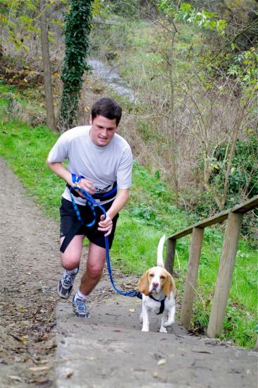 Cani-activités : Cani-Cross- Cani-VTT- Rapid-cani