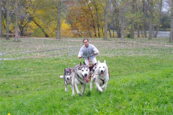 Cani-activités : Cani-Cross- Cani-VTT- Rapid-cani