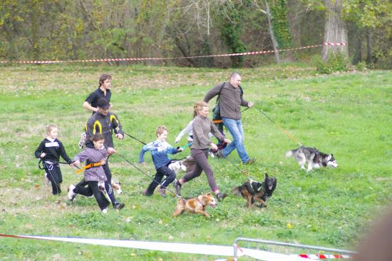 Cani-activités : Cani-Cross- Cani-VTT- Rapid-cani