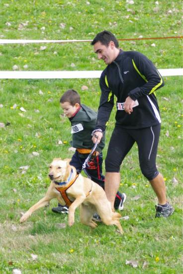 Cani-activités : Cani-Cross- Cani-VTT- Rapid-cani