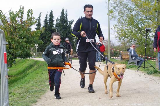 Cani-activités : Cani-Cross- Cani-VTT- Rapid-cani