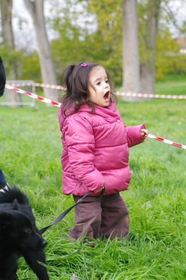 Cani-activités : Cani-Cross- Cani-VTT- Rapid-cani