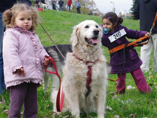 Cani-activités : Cani-Cross- Cani-VTT- Rapid-cani