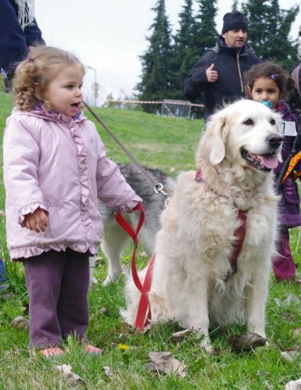 Cani-activités : Cani-Cross- Cani-VTT- Rapid-cani