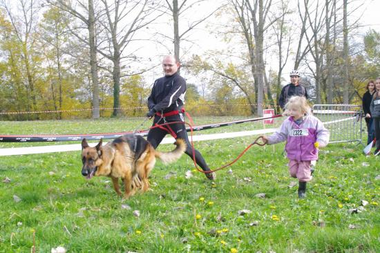 Cani-activités : Cani-Cross- Cani-VTT- Rapid-cani