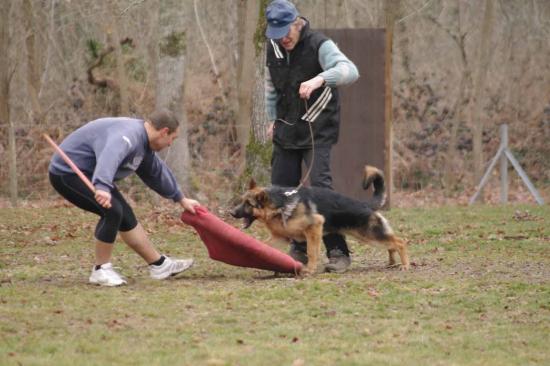 Entrainement APBAT 01/2011