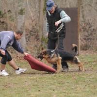 Entrainement APBAT 01/2011