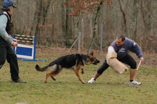 Entrainement APBAT 01/2011