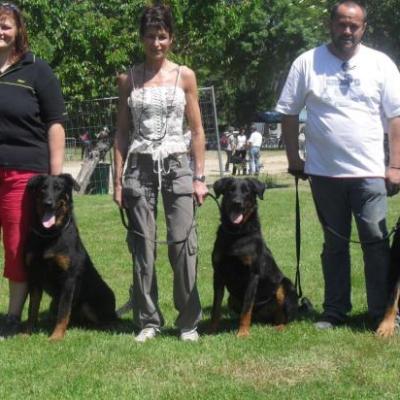 Nationale élevage 2010