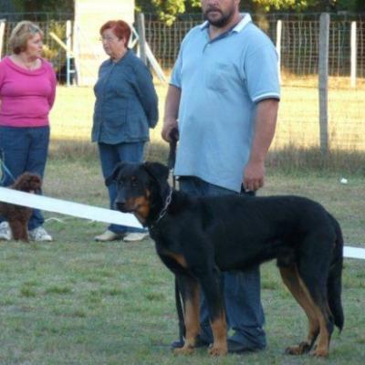 Journée Beauceronne Mérignac 2009