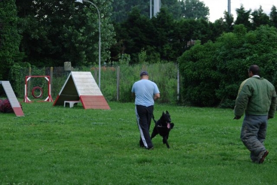 Bendjy, défense du maitre