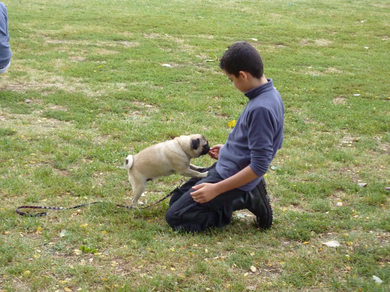 Clément et Gipsy