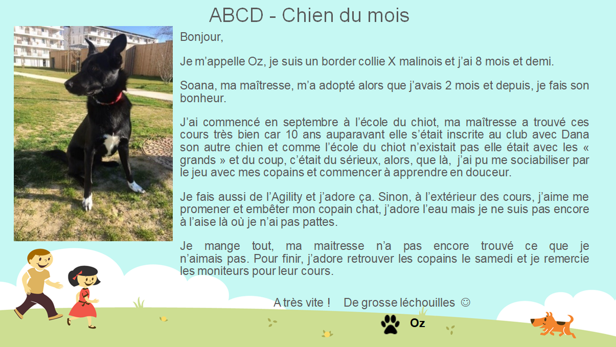 2 3 chien mois oz