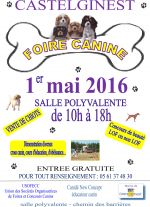 2016 affiche castelginest