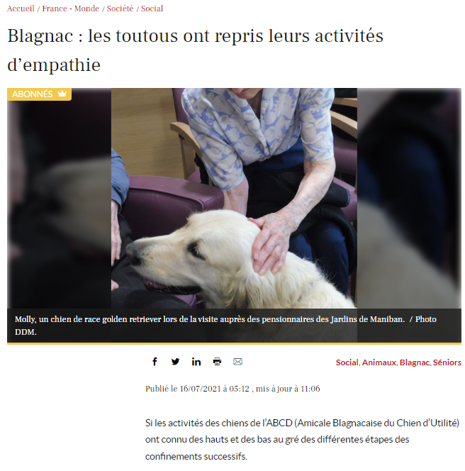 21 07 16 chien visiteur