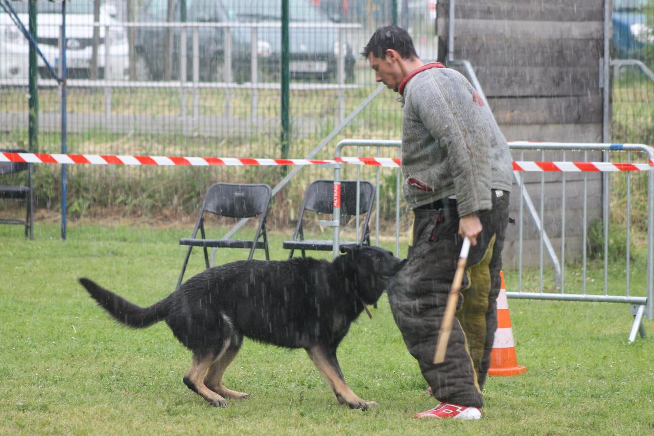 50-ans-abcd-blagnac-071.jpg