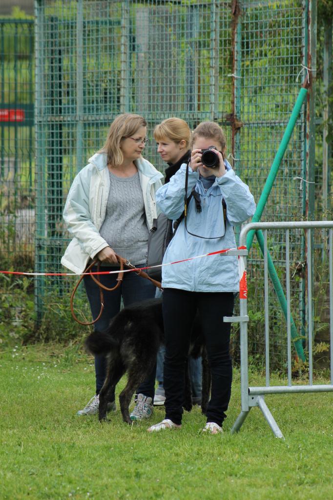 Photographe